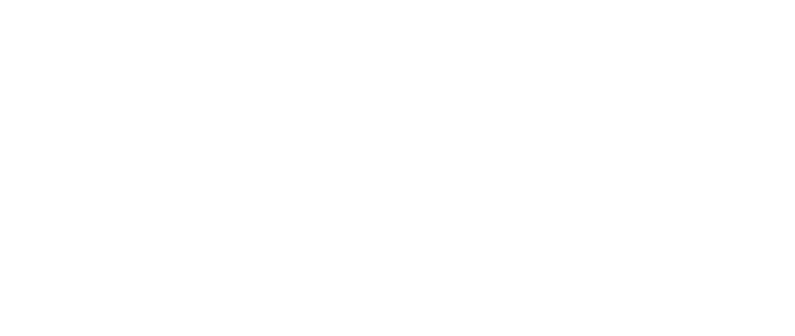 ALLOWCN iPad模拟器版
